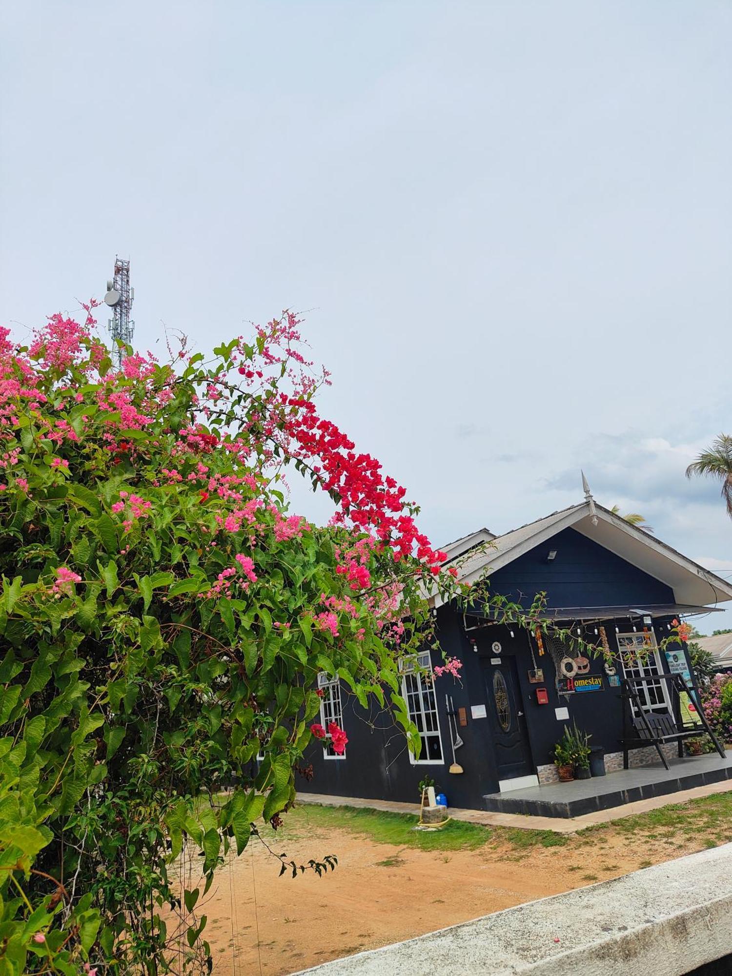 Penarik Baru Homestay كامبونج بيناريك المظهر الخارجي الصورة